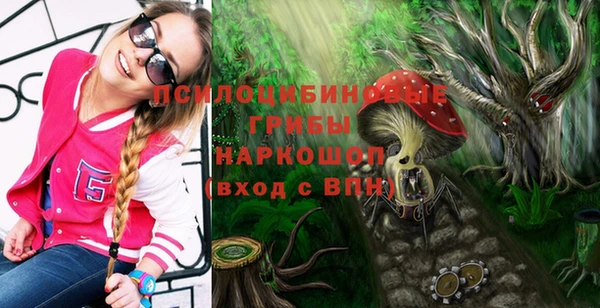 МДПВ Беломорск